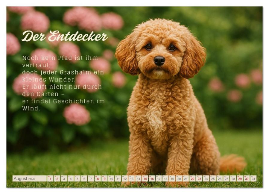 additionalImage12