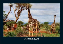 Cover-Bild zum Titel 'Giraffen 2026 Fotokalender DIN A5' von 'Tobias Becker'