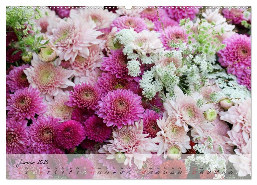 additionalImage5
