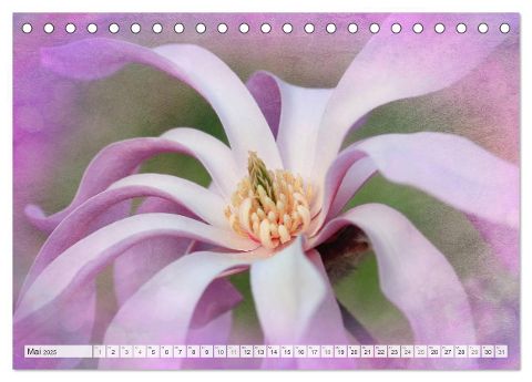 additionalImage10