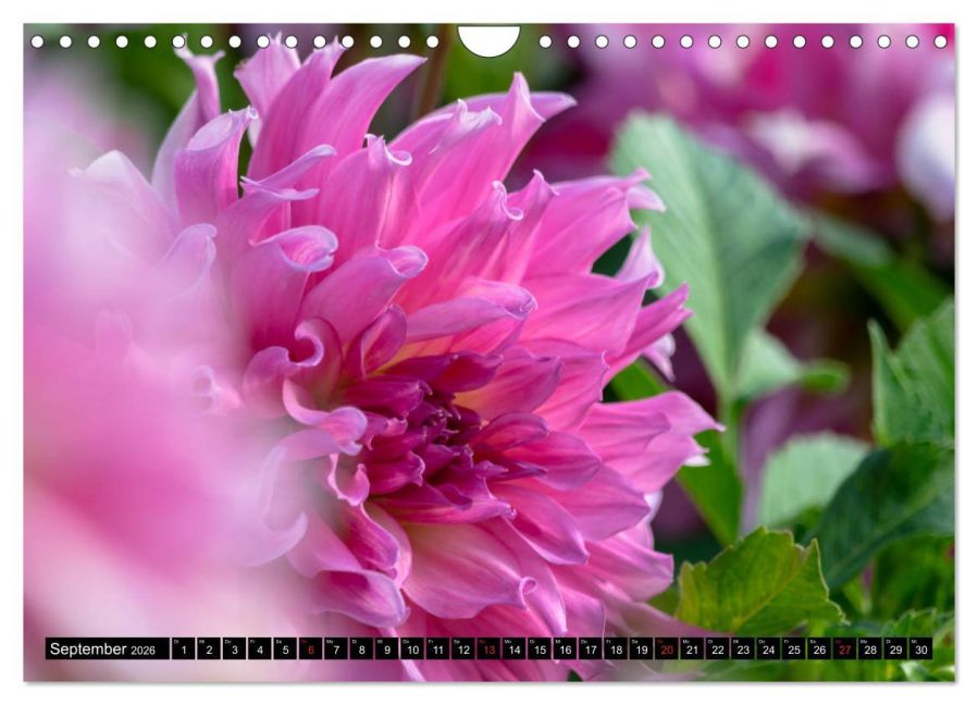 additionalImage14