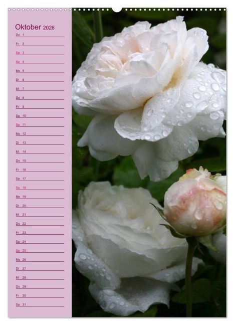 additionalImage1