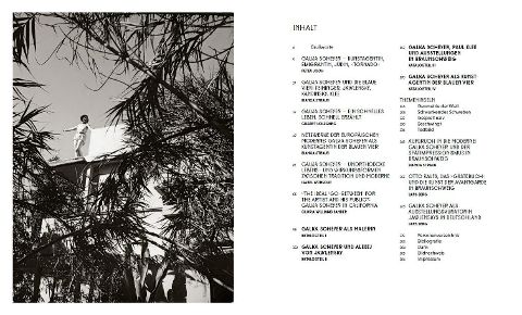 additionalImage1