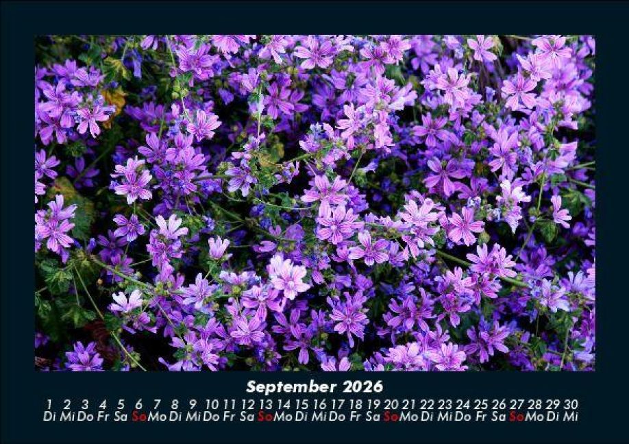 additionalImage1