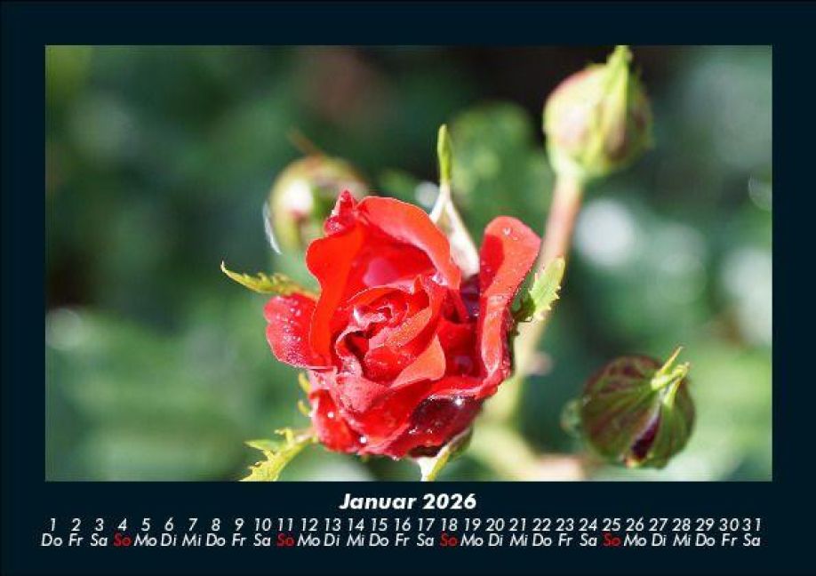additionalImage5