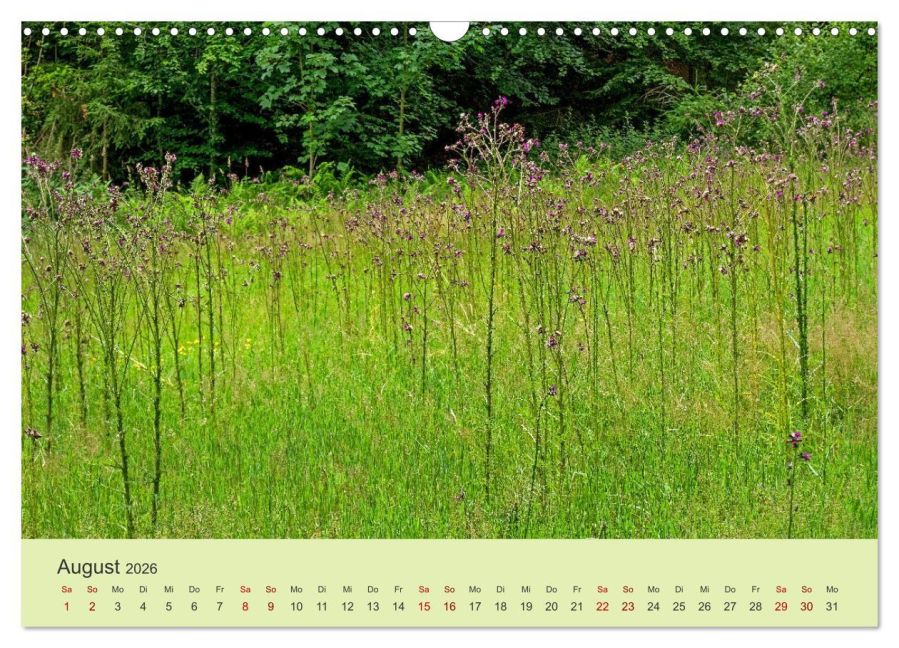 additionalImage13