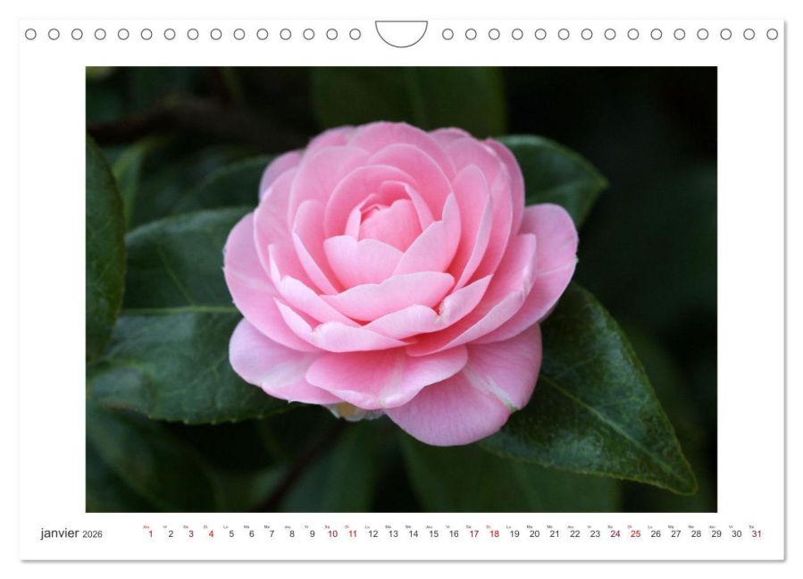 additionalImage6