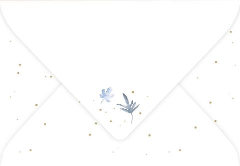 additionalImage2