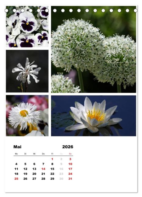 additionalImage10