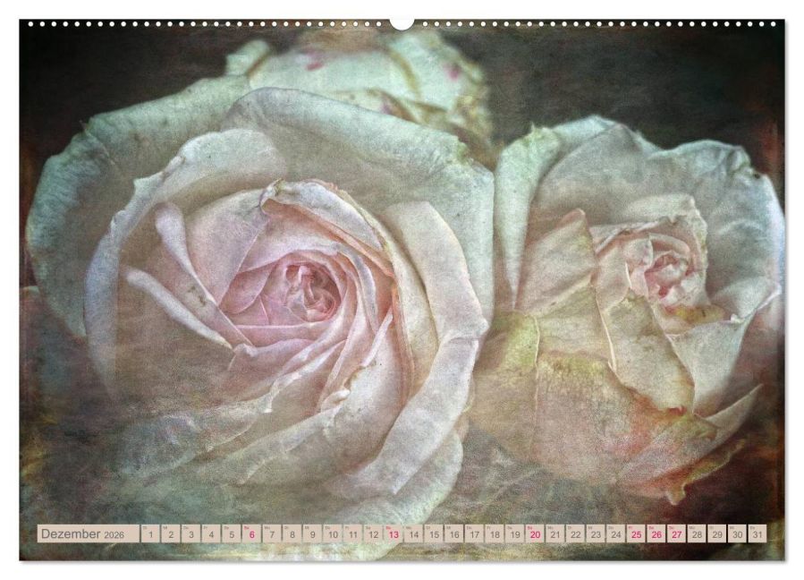 additionalImage3