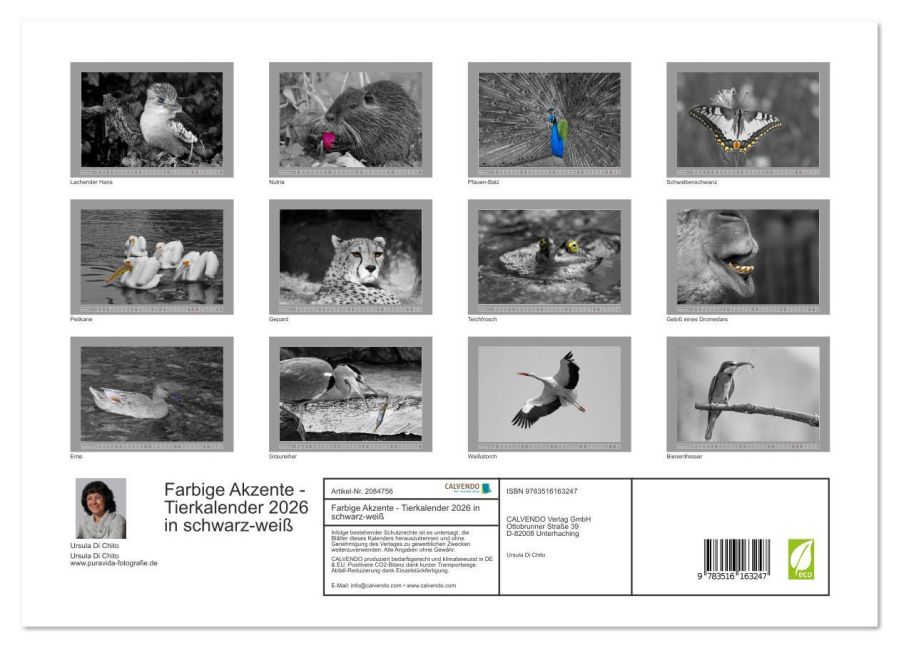 additionalImage5