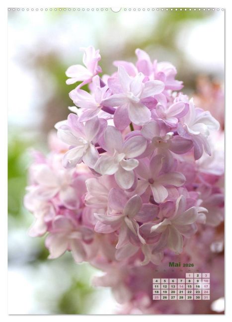 additionalImage10