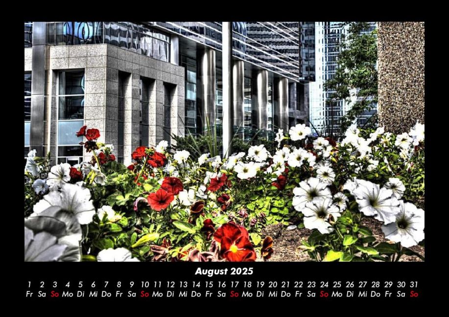 additionalImage12
