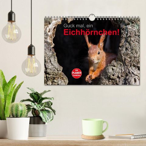additionalImage1