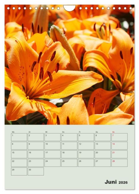 additionalImage11