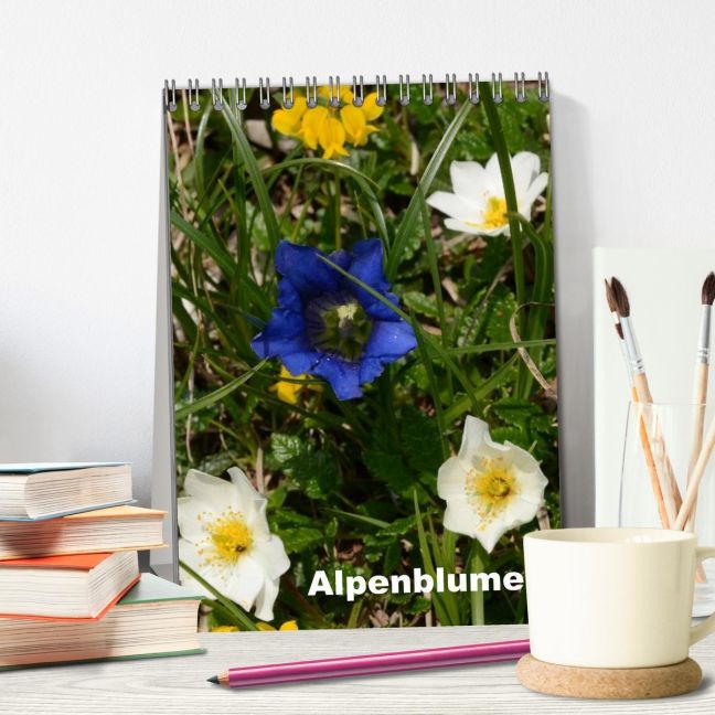 additionalImage1