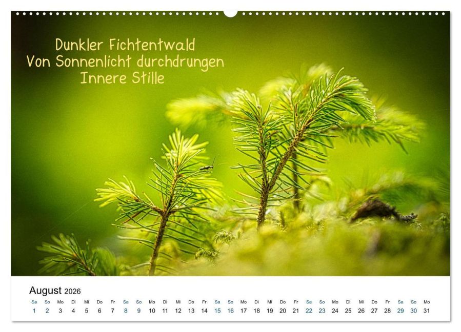 additionalImage12