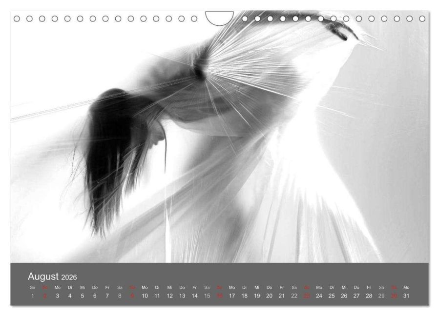 additionalImage13