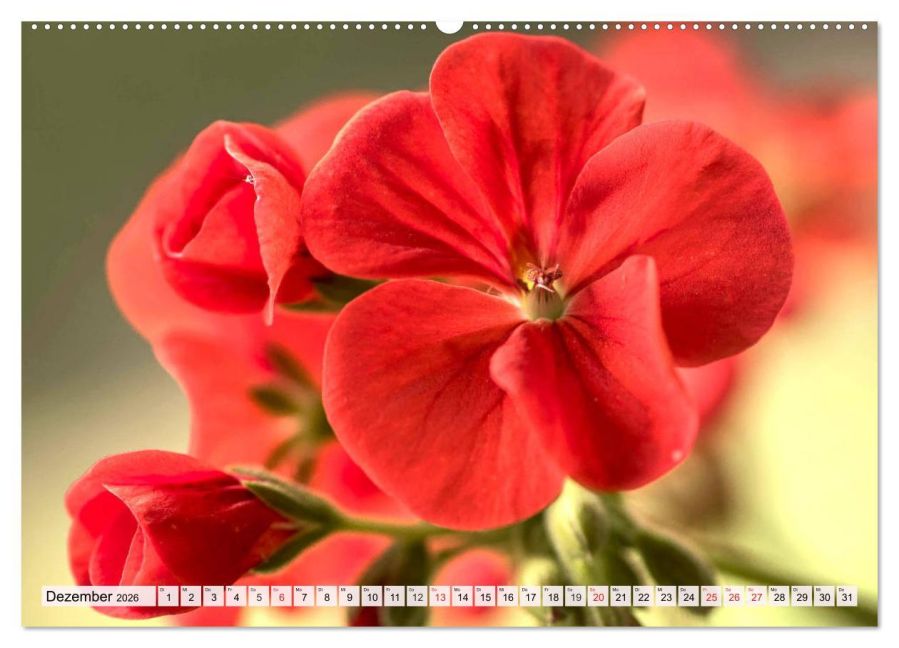 additionalImage3