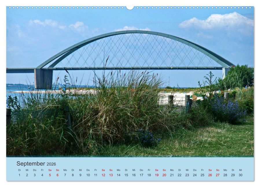 additionalImage13