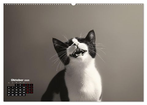 additionalImage1