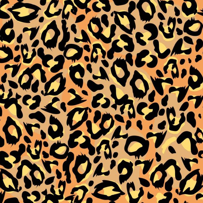 additionalImage1