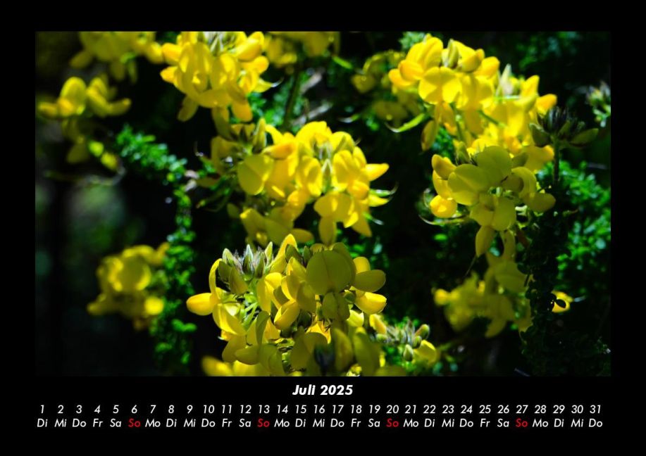 additionalImage11