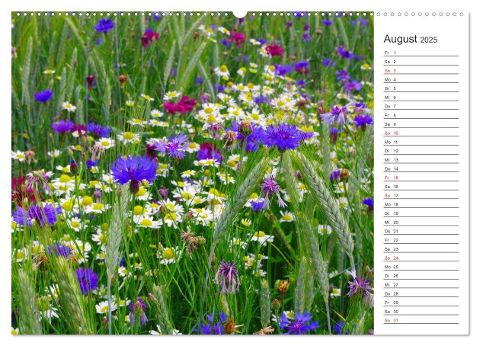 additionalImage12