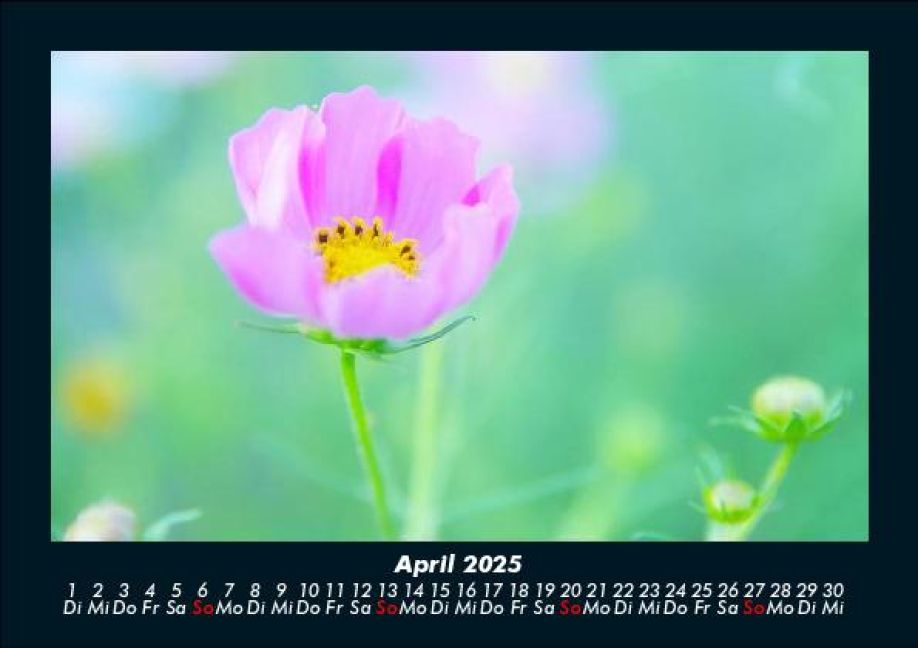 additionalImage8
