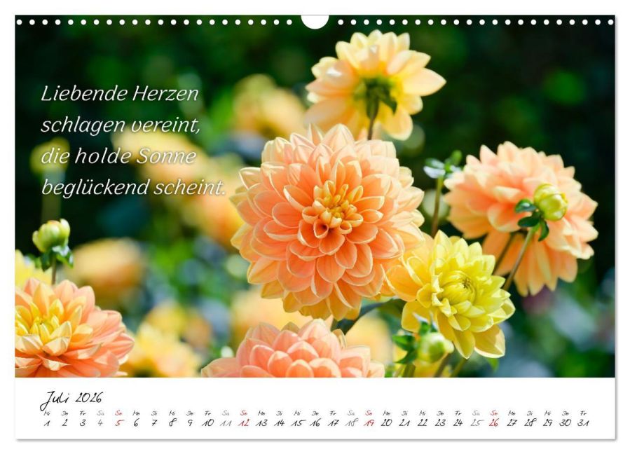 additionalImage12