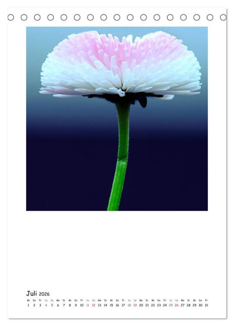 additionalImage12