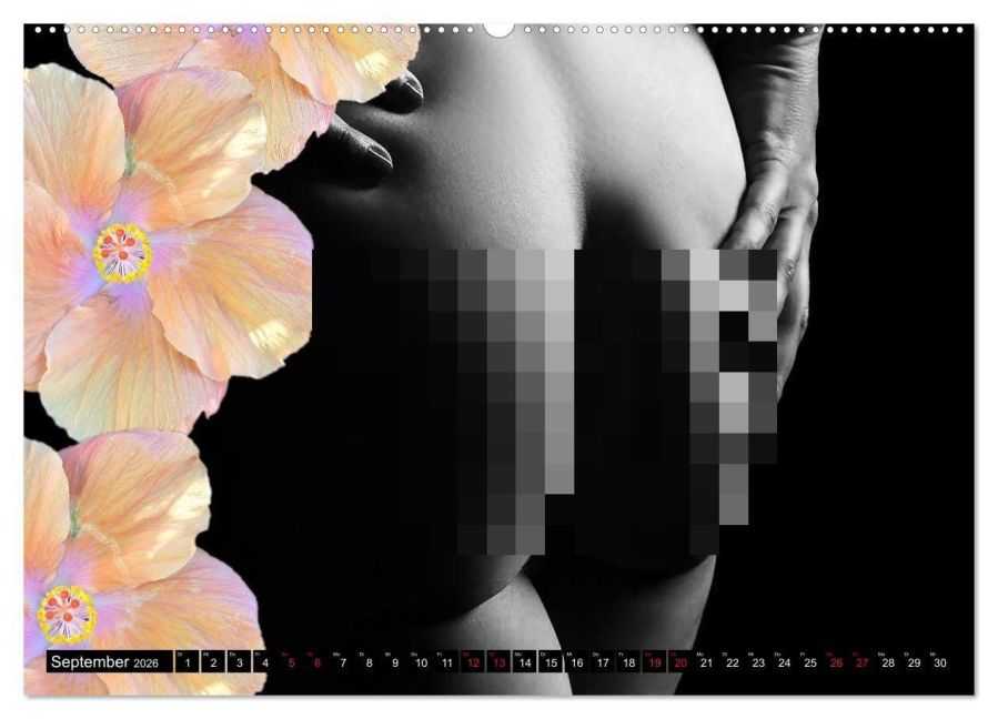 additionalImage13