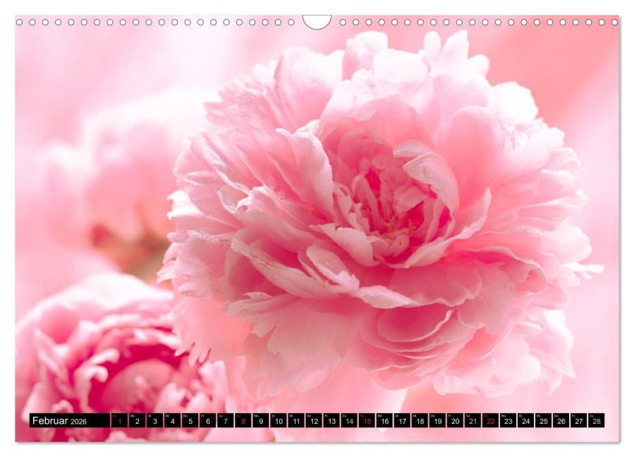 additionalImage7