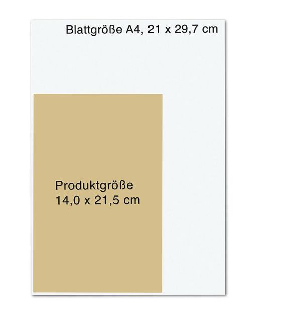 additionalImage10