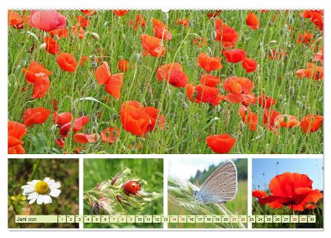 additionalImage10