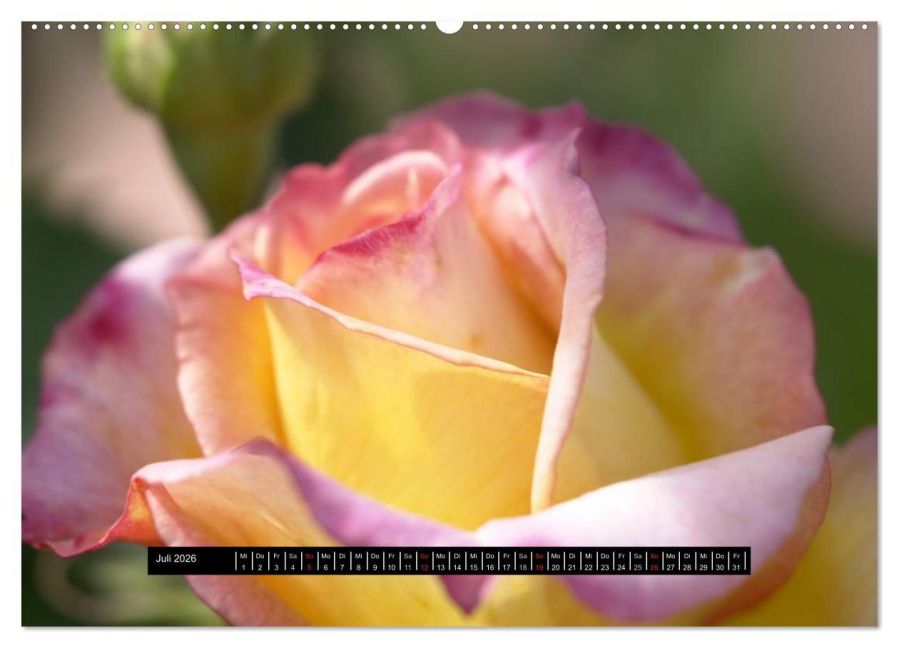 additionalImage12