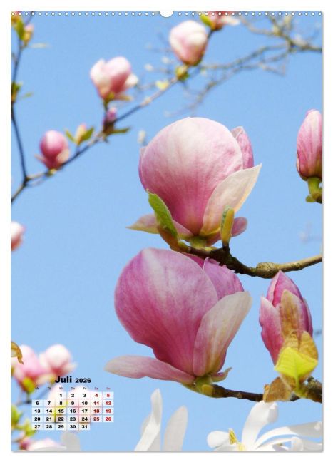 additionalImage11