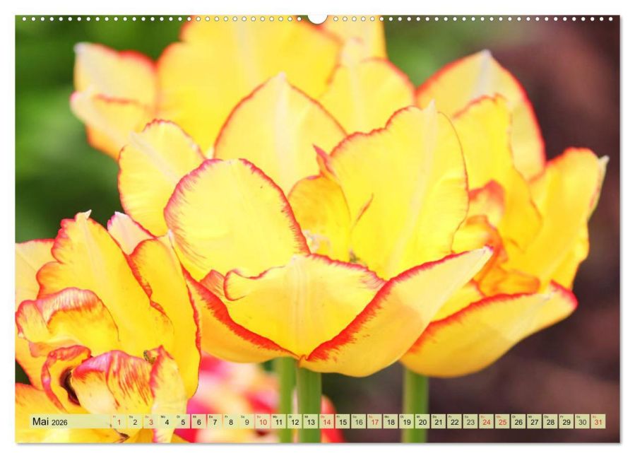 additionalImage9