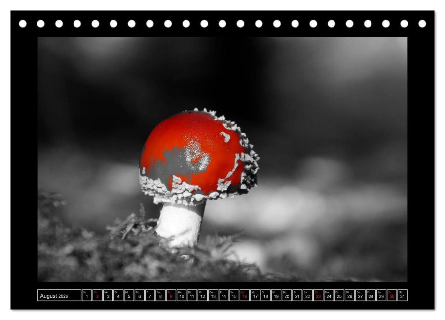 additionalImage13