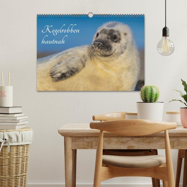 additionalImage1