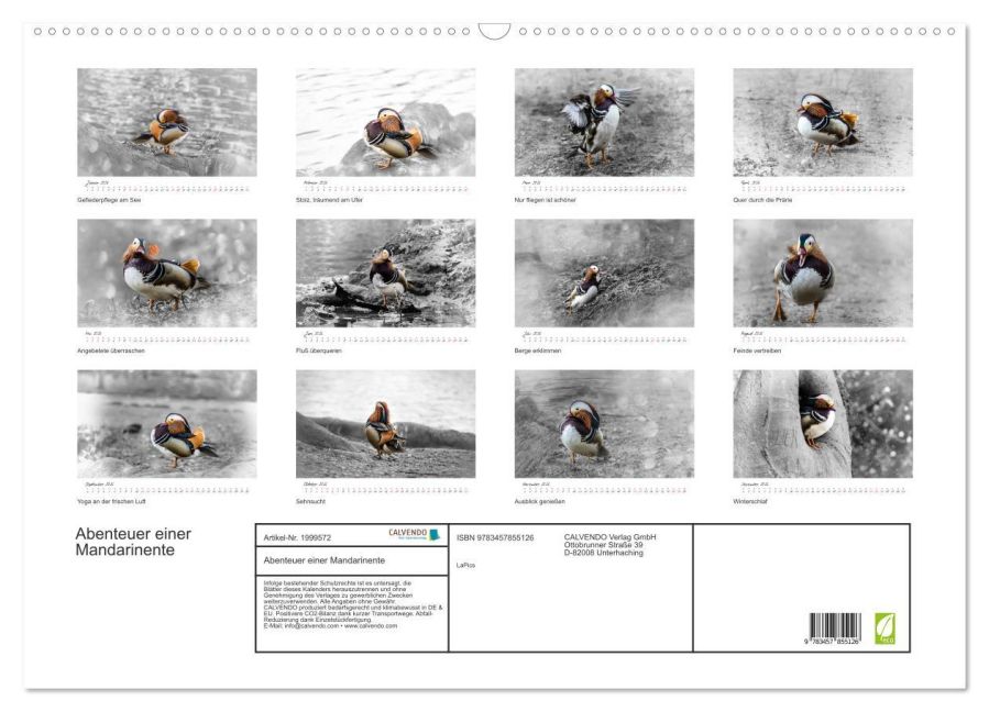 additionalImage5