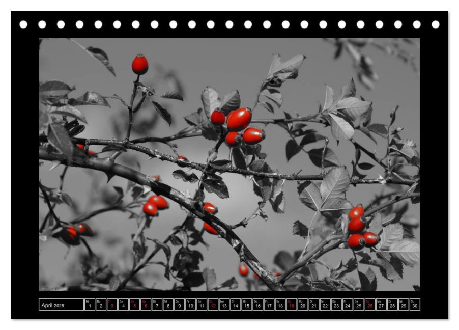 additionalImage9