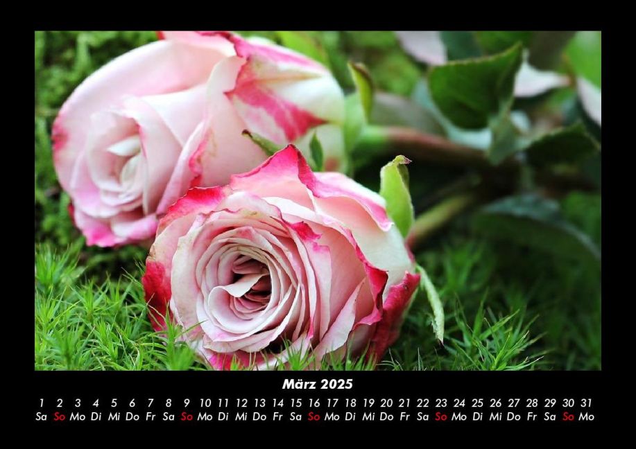 additionalImage7