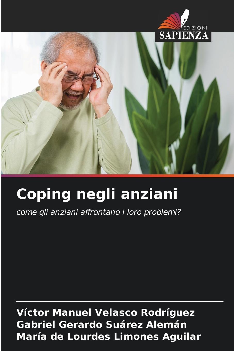 9786207147410