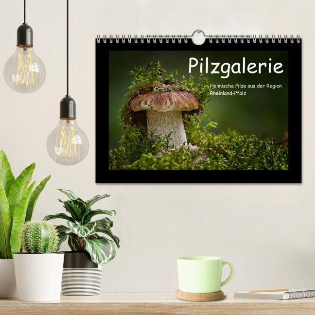 additionalImage1