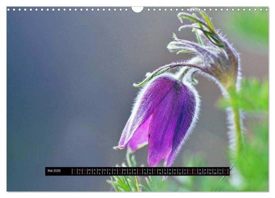 additionalImage10