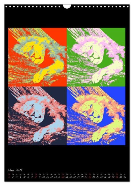 additionalImage8