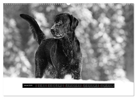 additionalImage5