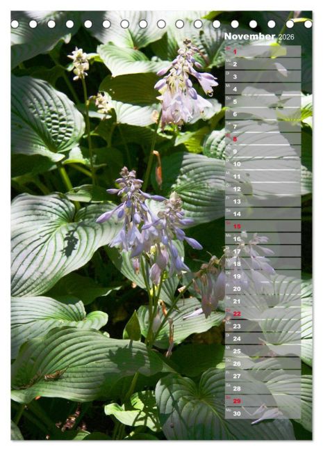 additionalImage3