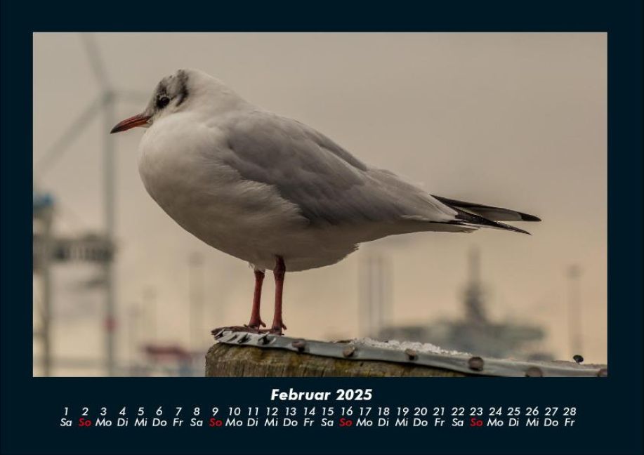 additionalImage6